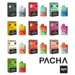 Pacha Mama 4500 Disposable 5%