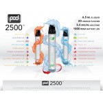 Pod 2500 Mesh Disposable 5.5% by Pod Juice Adjustable Airflow