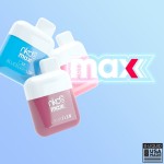 Naked 100 Max 4500 Disposable 5%