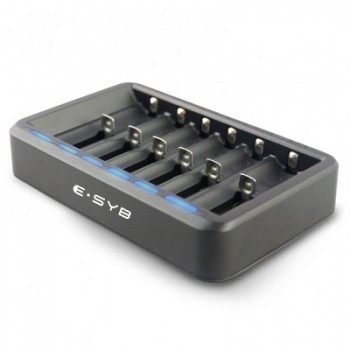 E-SYB S6 Battery Charger E-SYB S6 Battery Charger
