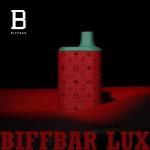 Biff Bar LUX 5500 (Leather Edition) Disposable 5%