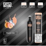 Flum Float Disposable 5% **SINGLE** (Master Case of 200)