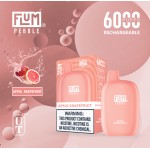 Flum Pebble 6000 Puff Disposable 5% **SINGLE** (Master Case of 200)