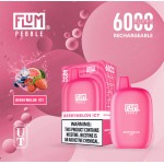 Flum Pebble 6000 Puff Disposable 5% **SINGLE** (Master Case of 200)