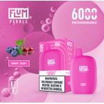 Flum Pebble 6000 Puff Disposable 5% **SINGLE** (Master Case of 200)