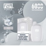 Flum Pebble 6000 Puff Disposable 5% **SINGLE** (Master Case of 200)