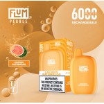 Flum Pebble 6000 Puff Disposable 5% **SINGLE** (Master Case of 200)