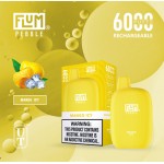 Flum Pebble 6000 Puff Disposable 5% **SINGLE** (Master Case of 200)