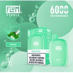 Flum Pebble 6000 Puff Disposable 5% **SINGLE** (Master Case of 200)