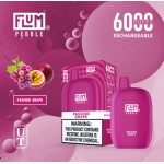 Flum Pebble 6000 Puff Disposable 5% **SINGLE** (Master Case of 200)