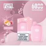 Flum Pebble 6000 Puff Disposable 5% **SINGLE** (Master Case of 200)