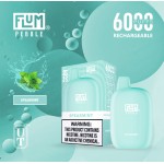 Flum Pebble 6000 Puff Disposable 5% **SINGLE** (Master Case of 200)