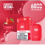 Flum Pebble 6000 Puff Disposable 5% **SINGLE** (Master Case of 200)