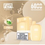 Flum Pebble 6000 Puff Disposable 5% **SINGLE** (Master Case of 200)