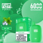 Flum Pebble 6000 Puff Disposable 5% **SINGLE** (Master Case of 200)