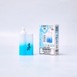 Hyde I.D. RECHARGE 4500 Puffs *10 Pack* (Master Case of 260)