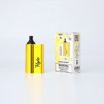 Hyde I.D. RECHARGE 4500 Puffs *10 Pack* (Master Case of 260)