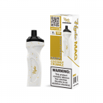 Hyde Mag RECHARGE 4500 Puffs *10 Pack* (Master Case of 260)