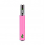 Leaf Buddi MAX III Battery