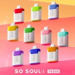 So Soul Y6000 Disposable 5% (Master Case of 200)