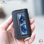 Vandy Vape GAUR-18 Box Mod